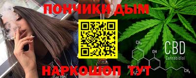 СК Новодвинск