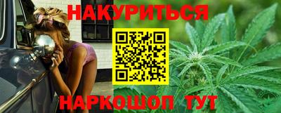 СК Новодвинск