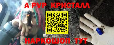 СК Новодвинск