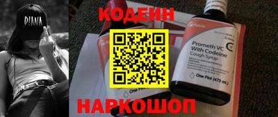 СК Новодвинск